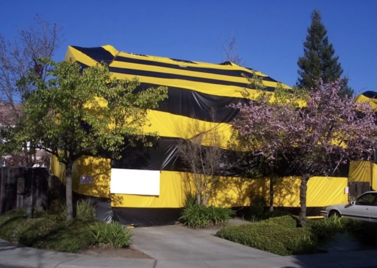 Contra Costa Termite Control fumigation tent covering a Concord home